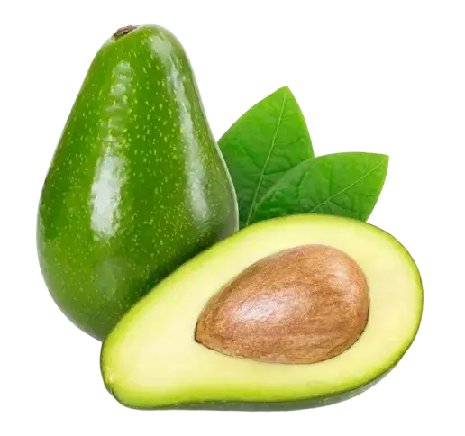 Avocado